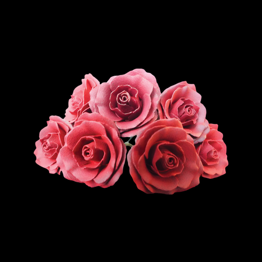 The Eternity Keepsake Rose 🌹