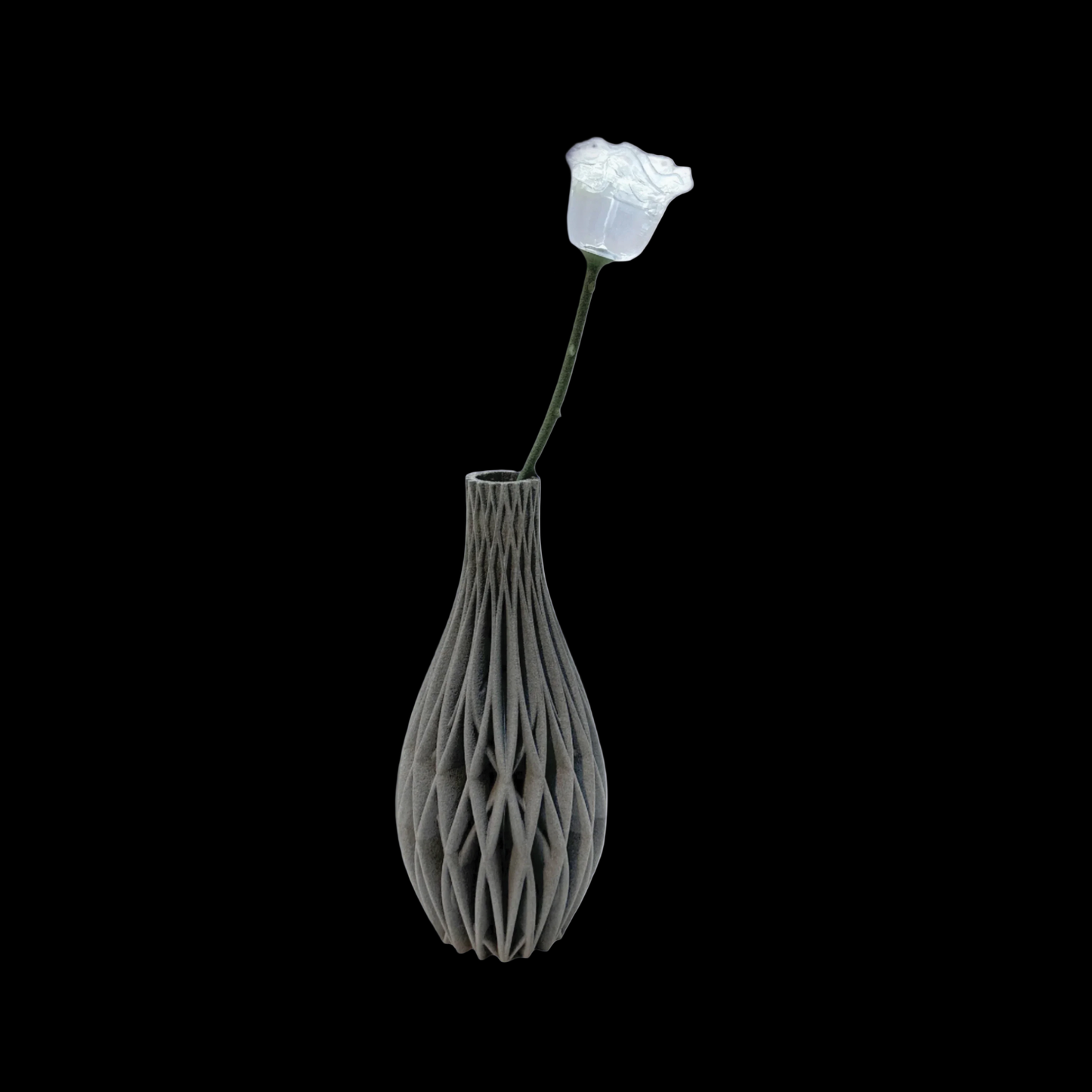 The Eternity Keepsake Rose 🌹