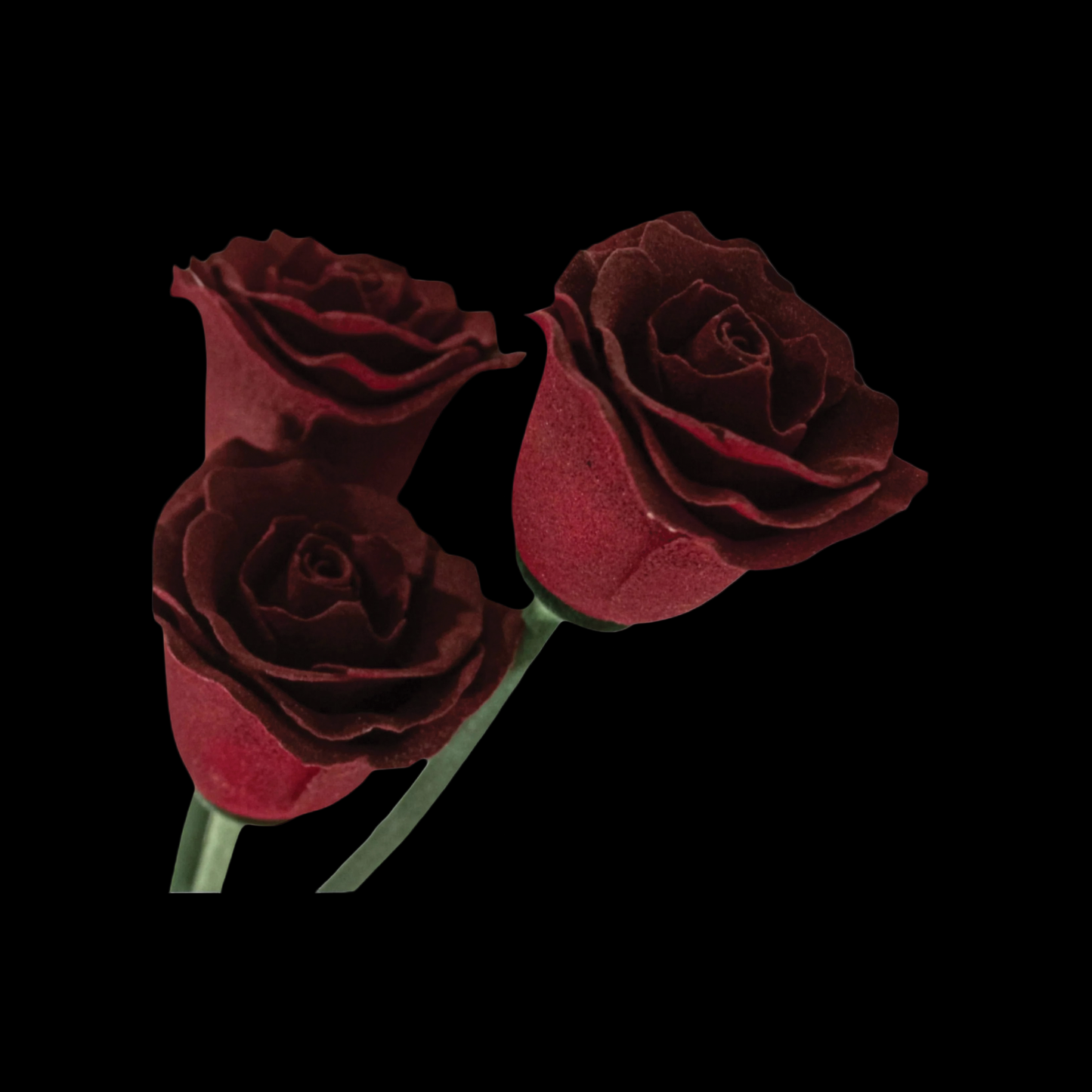 The Eternity Keepsake Rose 🌹