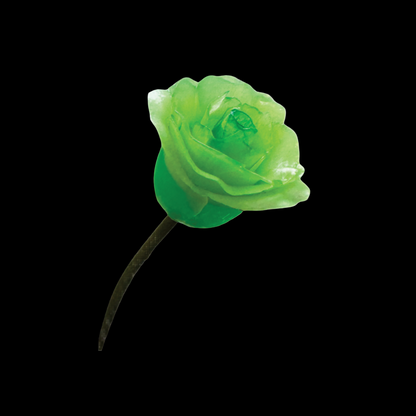 The Eternity Keepsake Rose 🌹