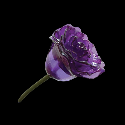 The Eternity Keepsake Rose 🌹